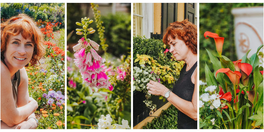 Bonjour printemps! Bulbes, semences, fleurs sauvages et techniques de plantation!