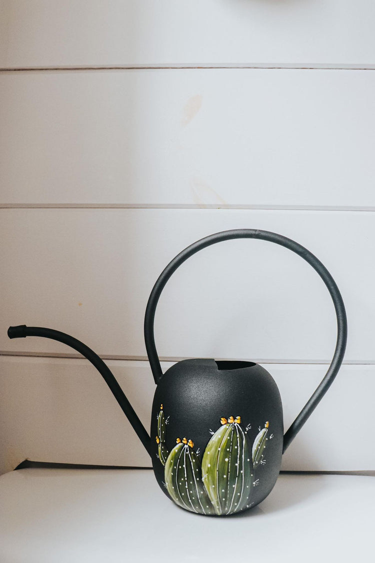 idée cadeau arrosoir cactus peint par Pero