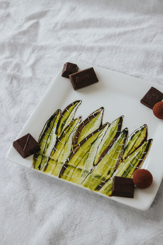 Assiette plante Sanseveria