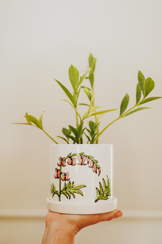 Cache-pot avec soucoupe intégrée 4 po plante coeur saignant