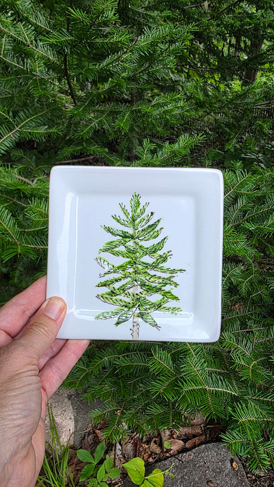 Assiette carrée design boréal