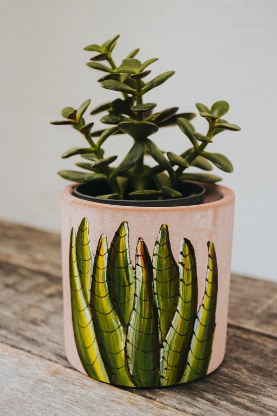 Cache-pot design plante