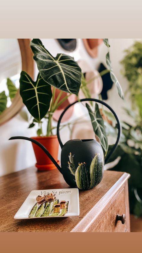Assiette plante Sanseveria