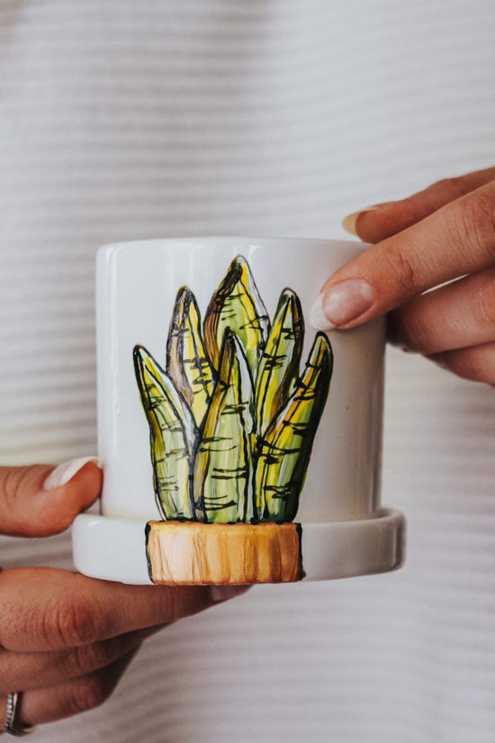 Cache-pot design plante