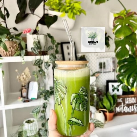 Verre - canette avec couvercle et paille design plante Monstera