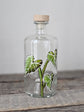 Recycled glass bottle with botanical design
