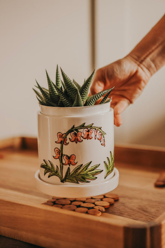 Plant pot with integrated saucer 4 in bleeding heart plant