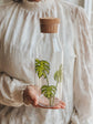 Monstera plant design glass water carafe