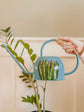 Sanseviera design blue watering can