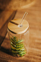 Boreal design glass can with lid and straw