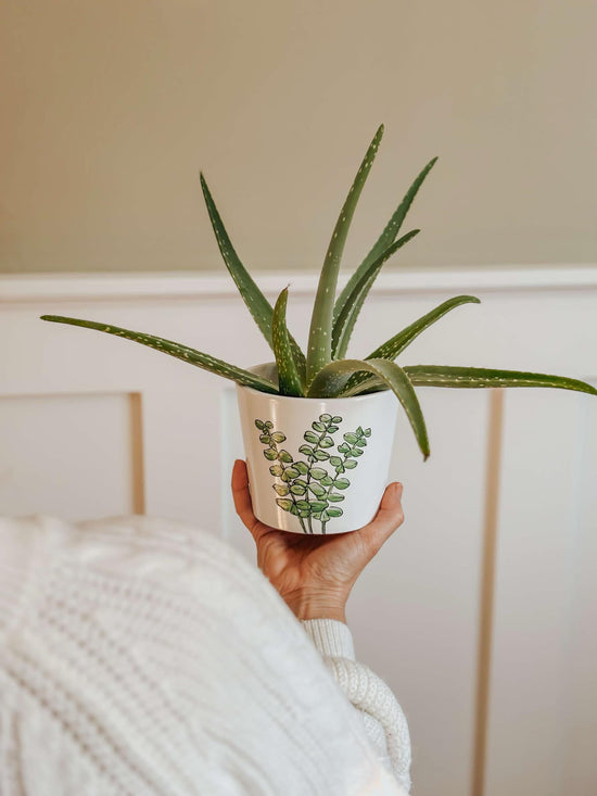 Small pink terracotta planter design