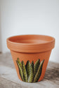Small pink terracotta planter design