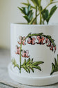 Plant pot with integrated saucer 4 in bleeding heart plant