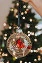 Boule de Noël  - Ornement en verre oiseau cardinal