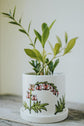 Plant pot with integrated saucer 4 in bleeding heart plant