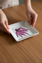Assiette carrée design fleur mauve rudbeckie)