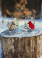 Duo de verres sans pied couple oiseaux cardinal