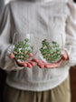 Duo of hand-painted eucalyptus design glasses
