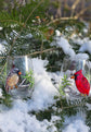 Duo de verres sans pied couple oiseaux cardinal