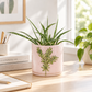 4" Rosemary Design Pink Glass Planter