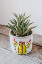 Cache-pot béton design cactus