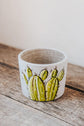 Small concrete planter cactus design