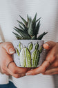 Small concrete planter cactus design