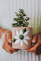 Small pink terracotta planter with white flower design