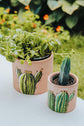 Cache-pot terre cuite design cactus