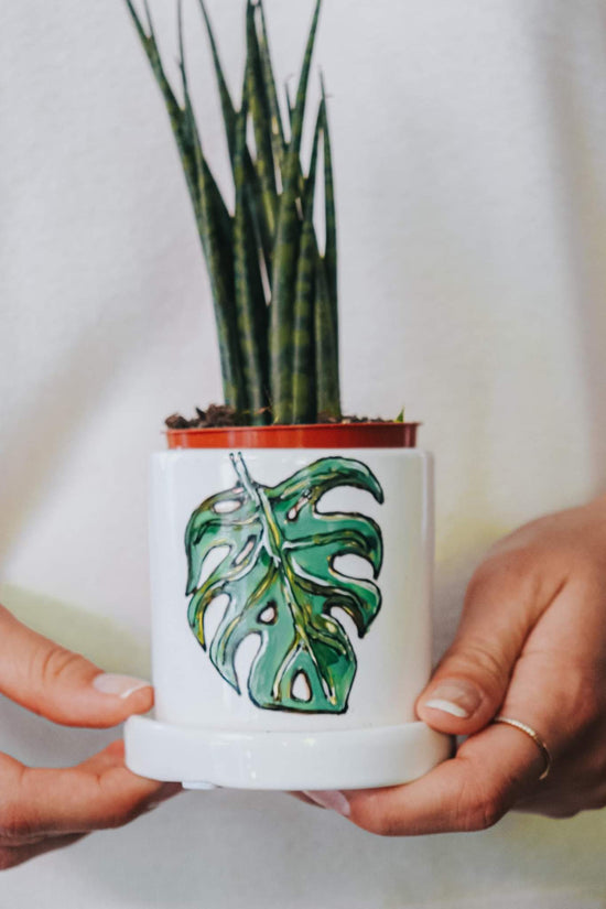 Small planter with saucer in porcelain design monstera plant