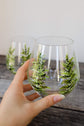 Duo of glasses without base, boreal forest design