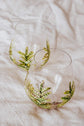 Duo of glasses without base, boreal forest design