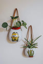Wall mounted porcelain planter design Westfalia