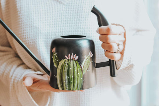 Arrosoir design cactus